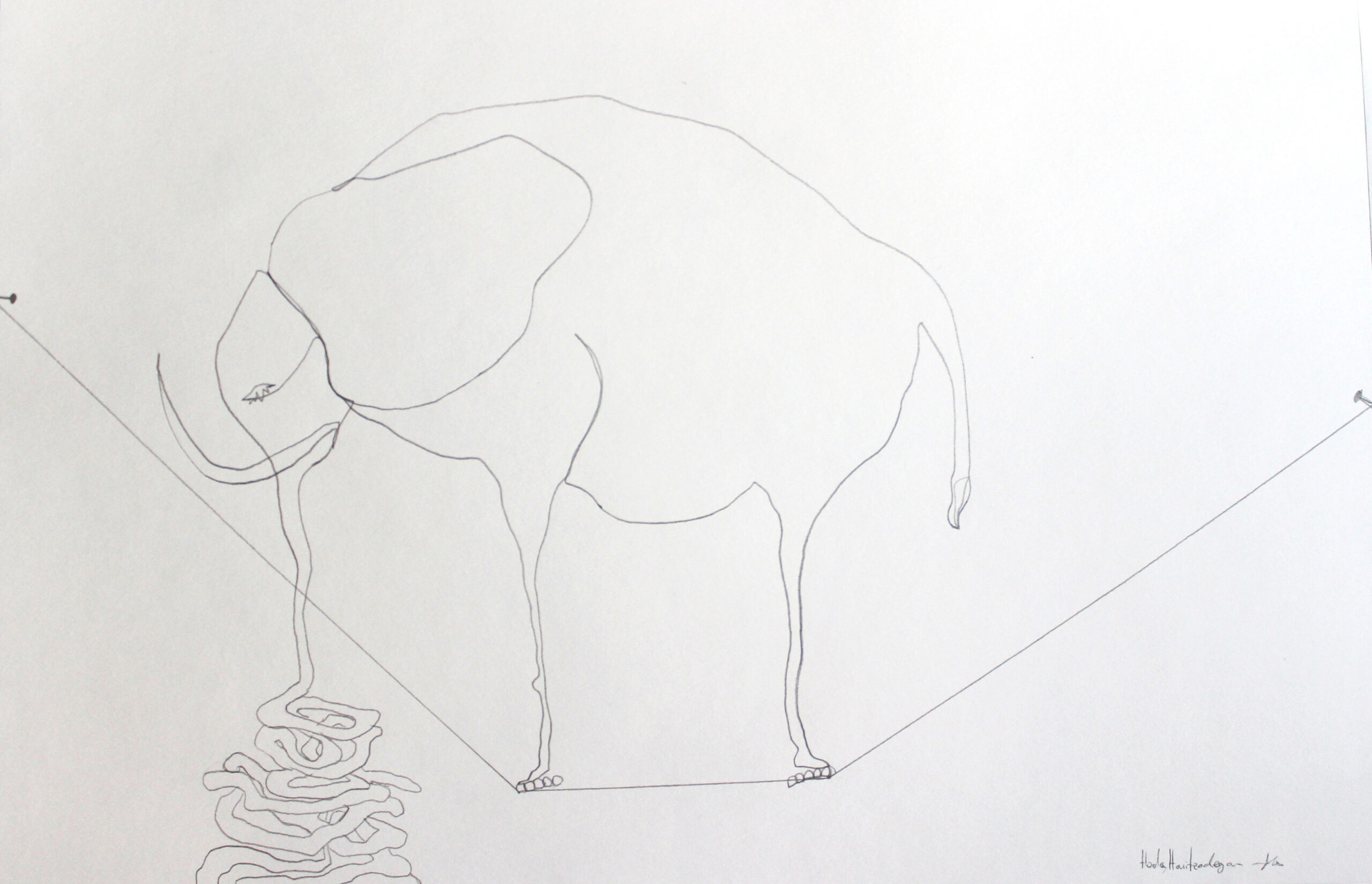 Sketches - Elefant - Hoda Hanifzadegan 2014